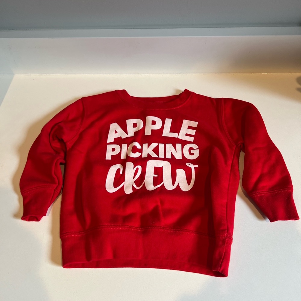 Sweet Wink 3T apple picking crew sweatshirt